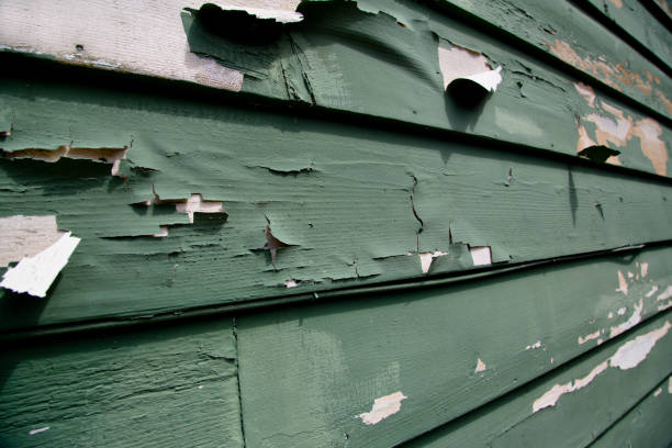 Best Historical Building Siding Restoration  in Sea Ranch, CA