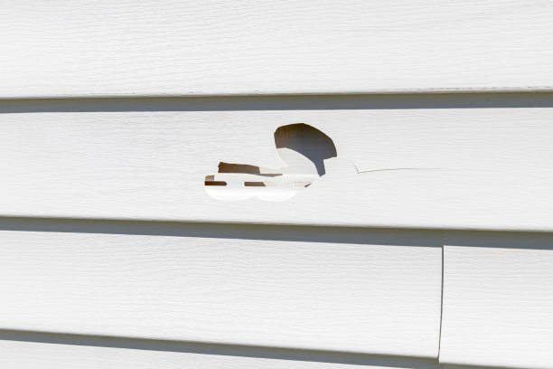 Best Siding Painting and Refinishing  in Sea Ranch, CA