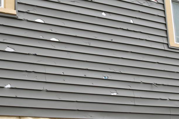 Affordable siding repair and maintenance services in Sea Ranch, CA