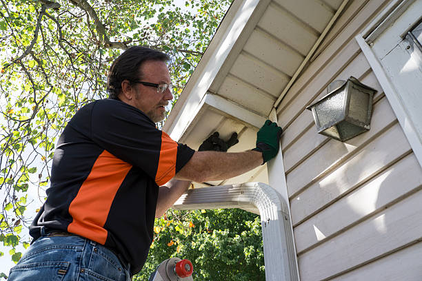 Best Custom Siding Design  in Sea Ranch, CA
